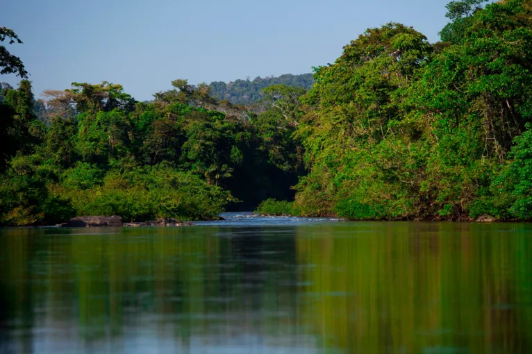 Conheça as Unidades protegidas pela Vale ou com apoio da empresa