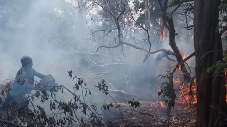 Incêndio na terra indígena Alto Rio Guamá segue intenso e continua afetando aldeias 