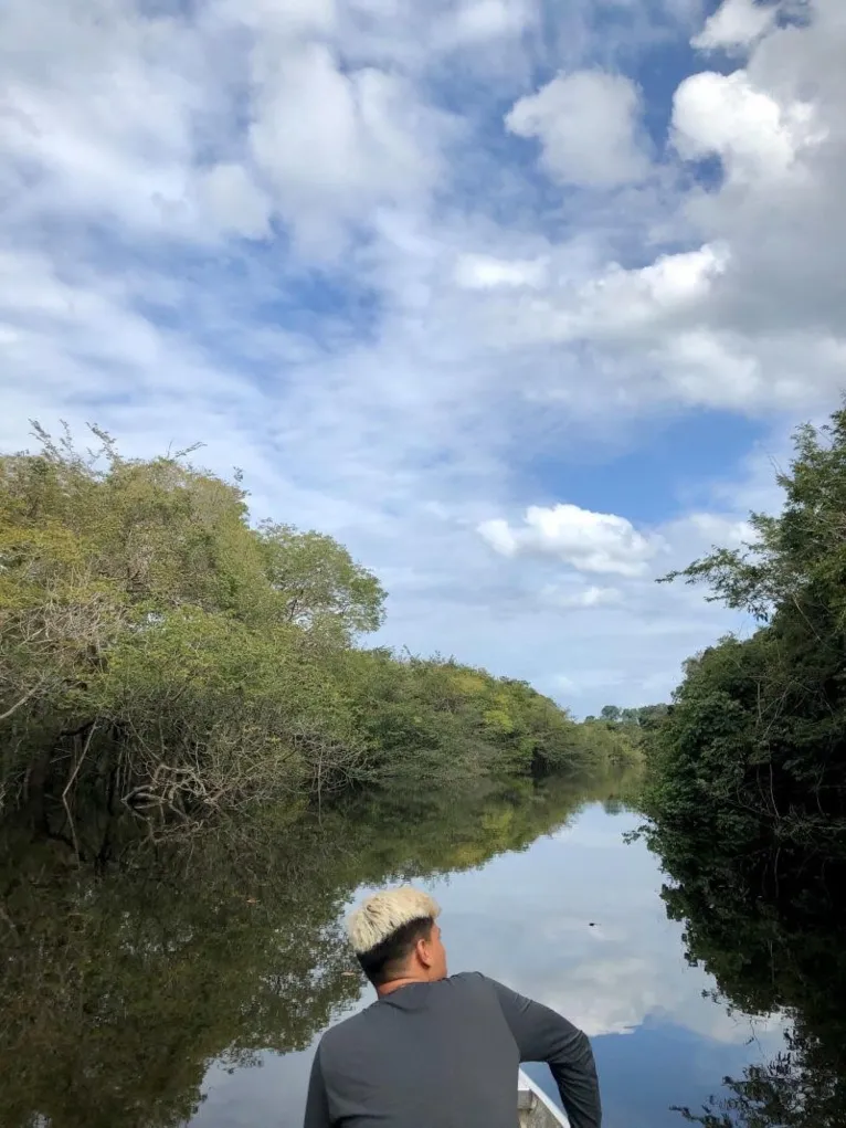 Paraense raiz descreve a Amazônia para o mundo
