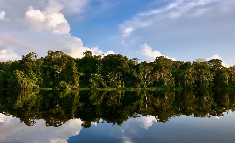 Paraense raiz descreve a Amazônia para o mundo