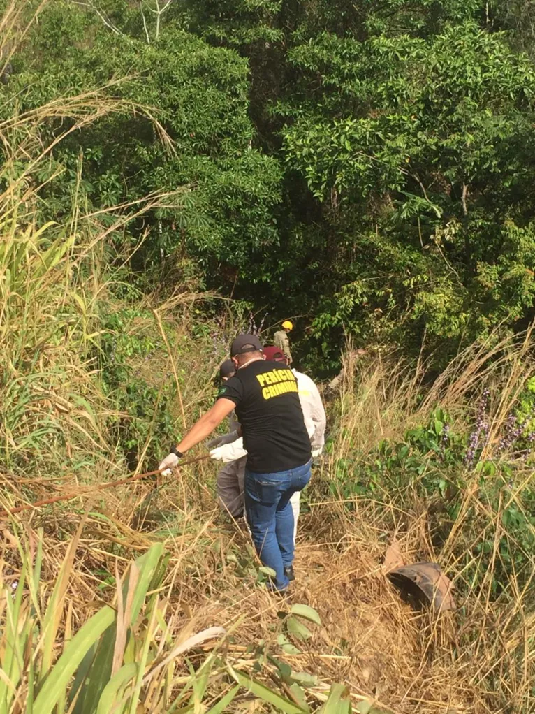 Corpos de professor da UFPA e esposa são encontrados no interior do Pará