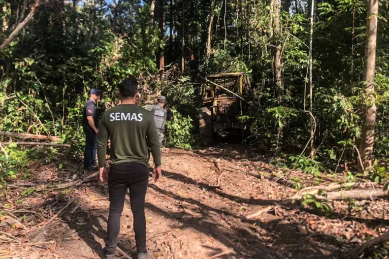 Segunda fase da Operação Amazônia Viva apreendeu quase 3.000 m³ de madeira em tora