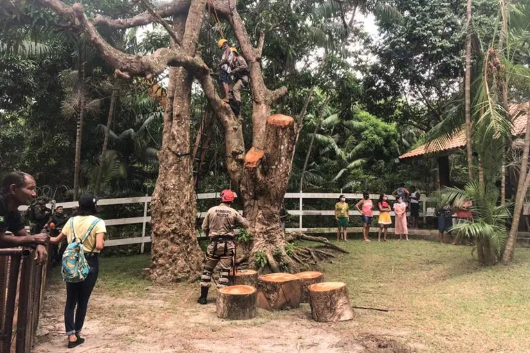 Brincadeiras como tirolesa e rapel foram realizadas sob a supervisão dos militares.