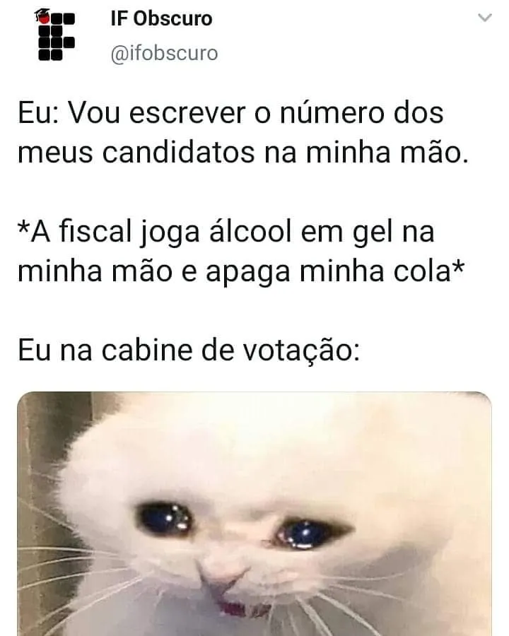 Eleições municipais rendem memes em todo o Brasil