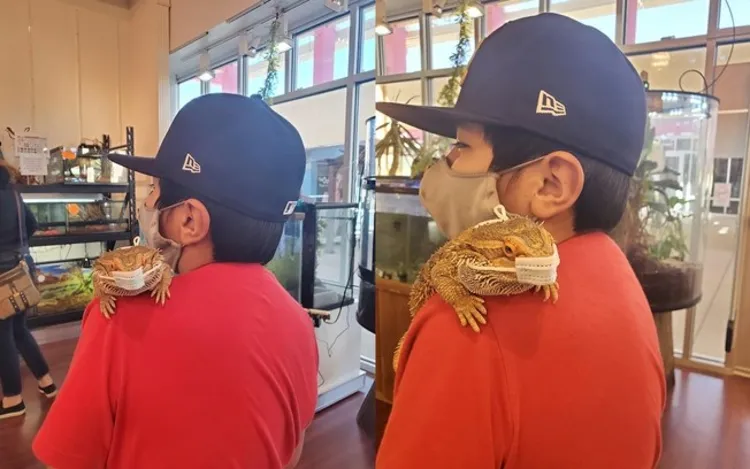 Garoto protege seu pet do coronavirus
