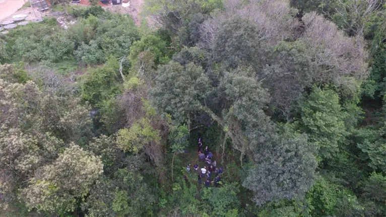 Corpo de dentista desaparecida é encontrado em área de mata