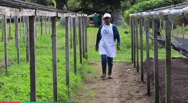 Produção da agricultora familiar em Marituba é destaque em programa da Globo