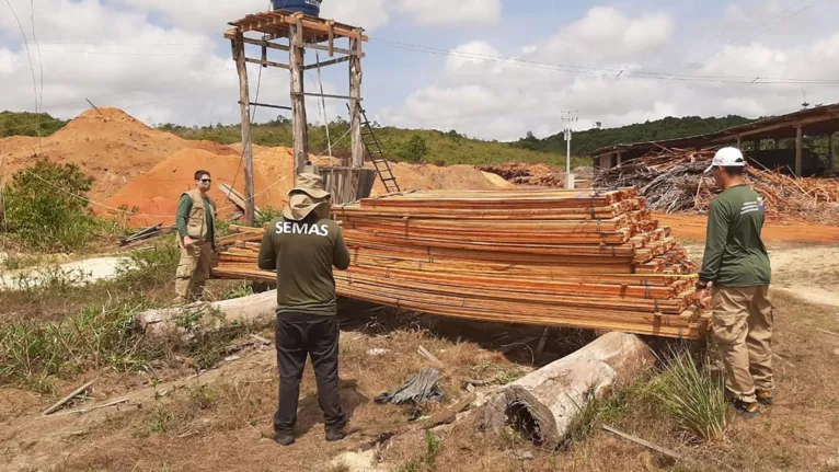 Madeireiras ilegais são fechadas e cargas são apreendidas no Pará