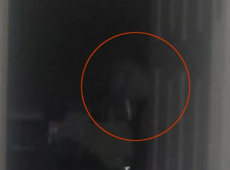 Veja a figura que aparece na cozinha quando a foto é ampliada