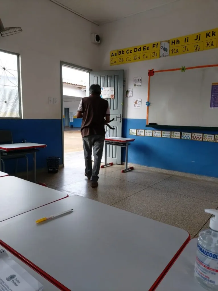 Gata 'vota' com dono durante 2º turno das eleições municipais, veja! 