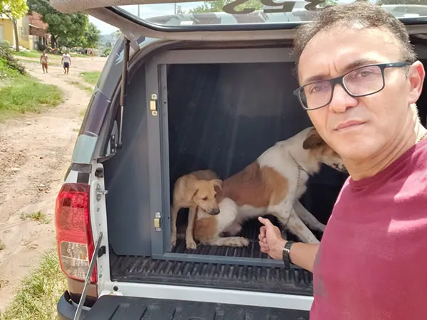 Marcelo Cardoso resgatou os animais, que já foram adotados por uma nova família.