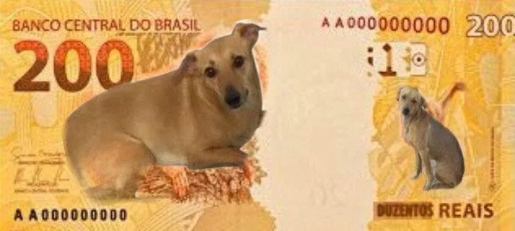 Qual meme representa você em 2020? Relembre aqui!