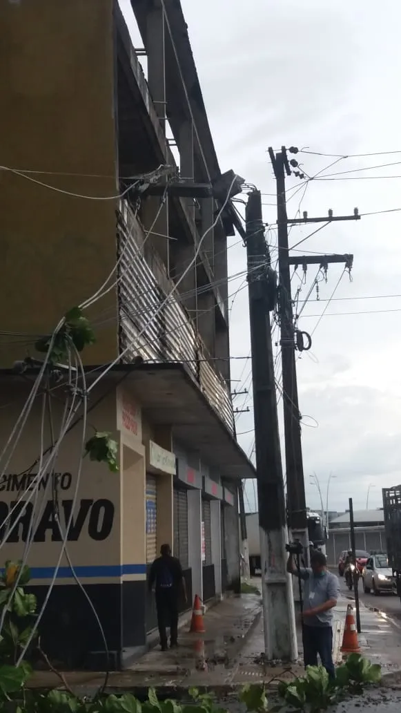 Oito árvores caem na Grande Belém durante ventania e causam transtorno a motoristas e pedestres 