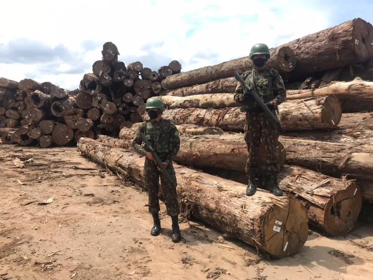 Operação Verde Brasil 2 apreende madeira no Pará