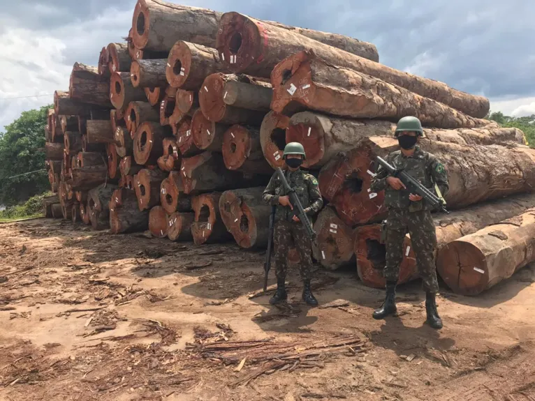 Operação Verde Brasil 2 apreende madeira no Pará