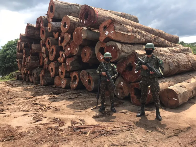 Operação Verde Brasil 2 apreende madeira no Pará