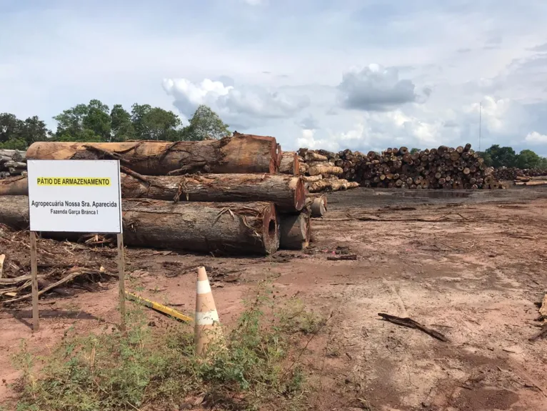 Operação Verde Brasil 2 apreende madeira no Pará
