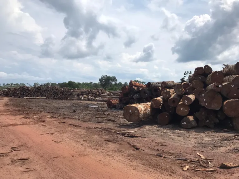 Operação Verde Brasil 2 apreende madeira no Pará