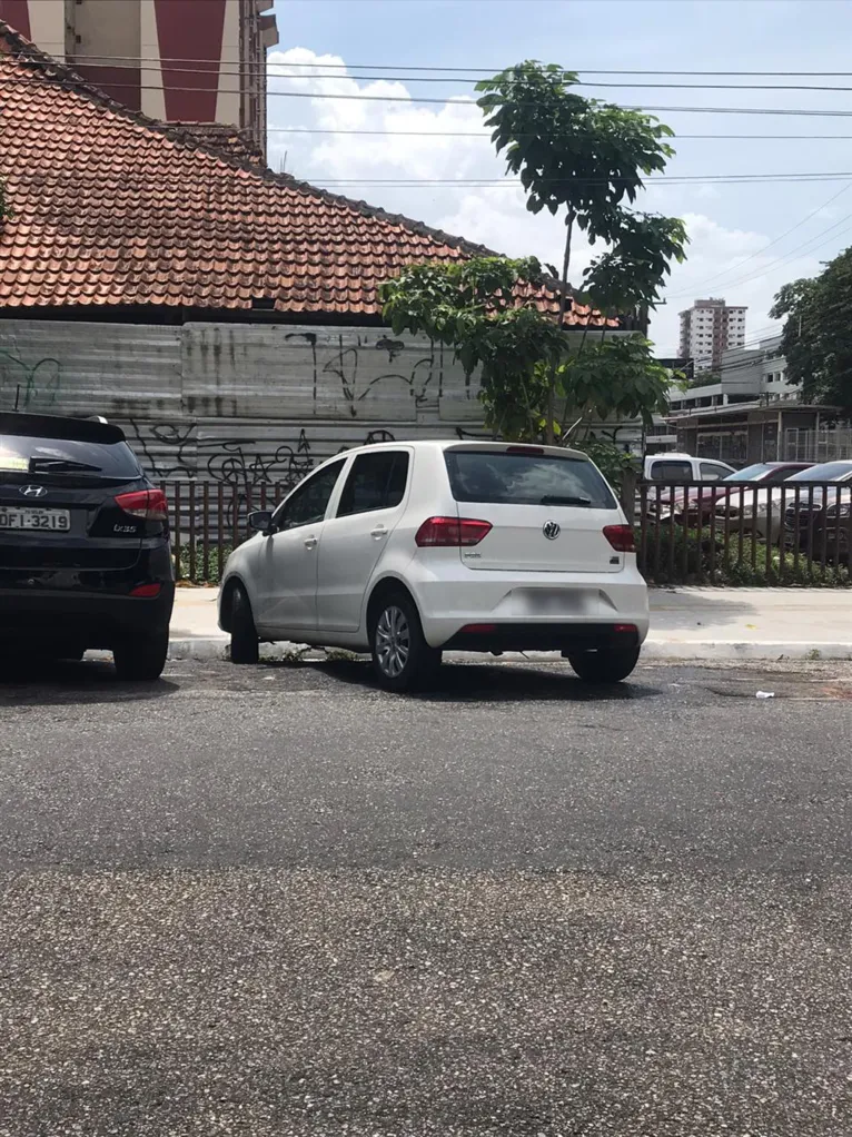 Internautas denunciam abandono de animais em carro em Belém