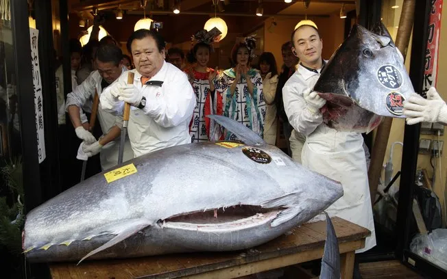 Atum de 200 kg é leiloado por mais de R$ 1 milhão no Japão, veja!