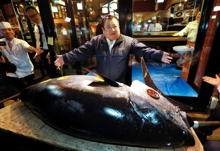 Atum de 200 kg é leiloado por mais de R$ 1 milhão no Japão, veja!