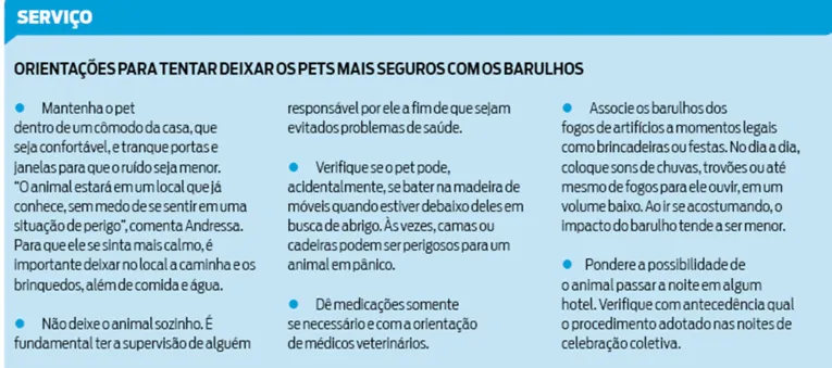 Saiba como reduzir os efeitos do barulho em pets nas festas de fim de ano
