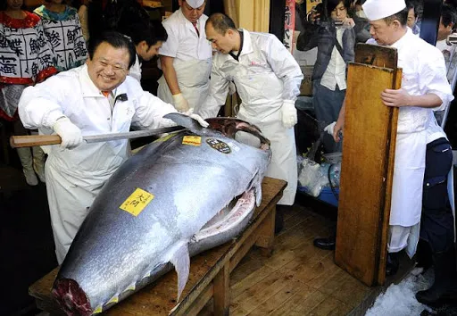 Atum de 200 kg é leiloado por mais de R$ 1 milhão no Japão, veja!