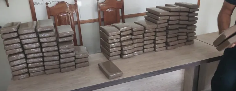 Pará: trabalhadores recebem proposta de plantar milho e soja, mas era maconha