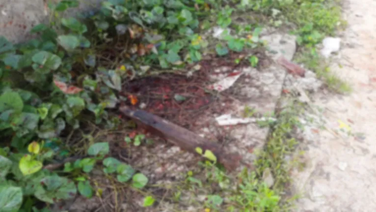 Homem é espancado até a morte e quase tem cabeça arrancada em Ananindeua