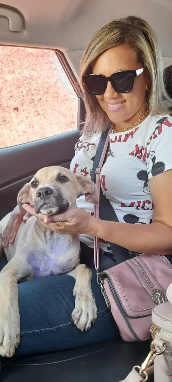 Cachorrinho resgatado no colo da presidente da Apama, Byancka D'Lavor