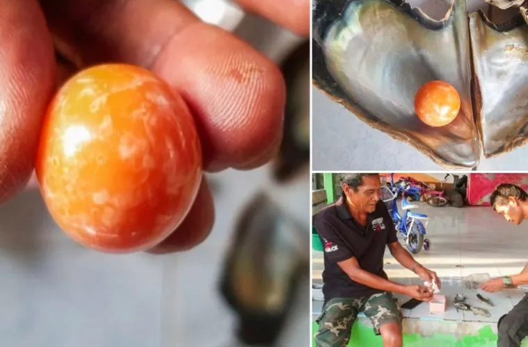Pescador encontra pérola rara avaliada em R$ 1,8 milhão