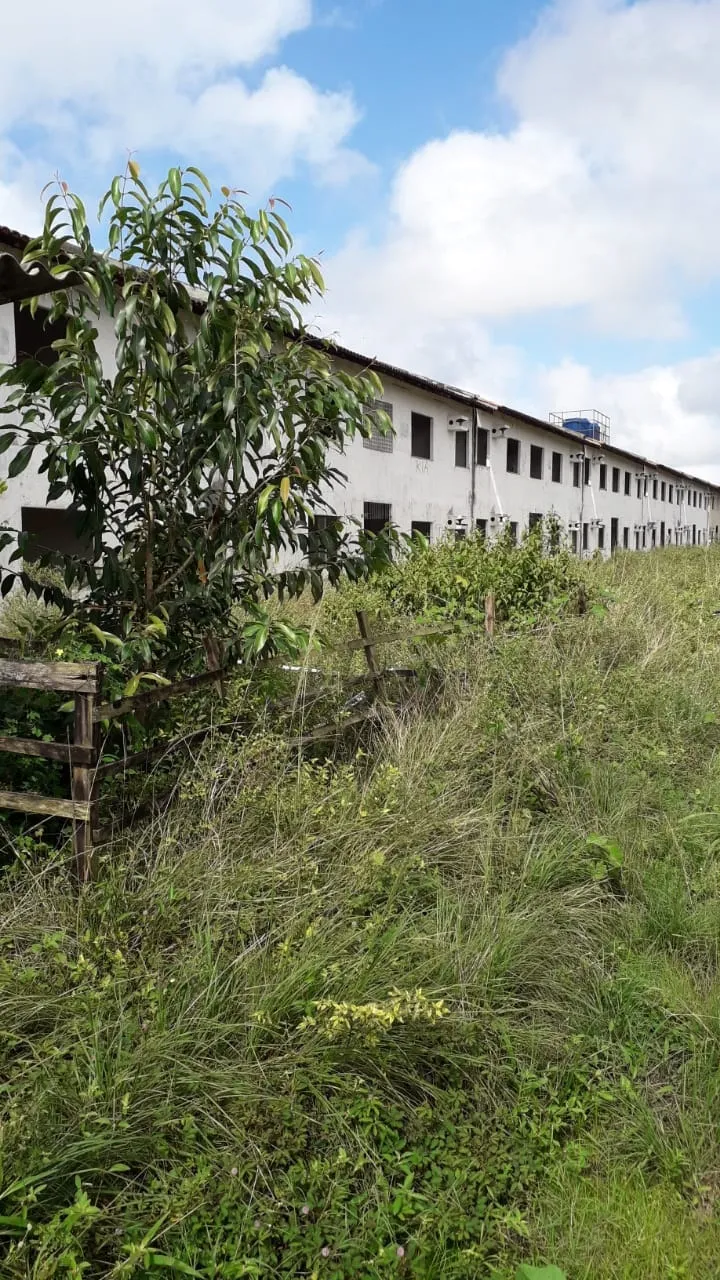 Residencial é invadido por famílias em Castanhal