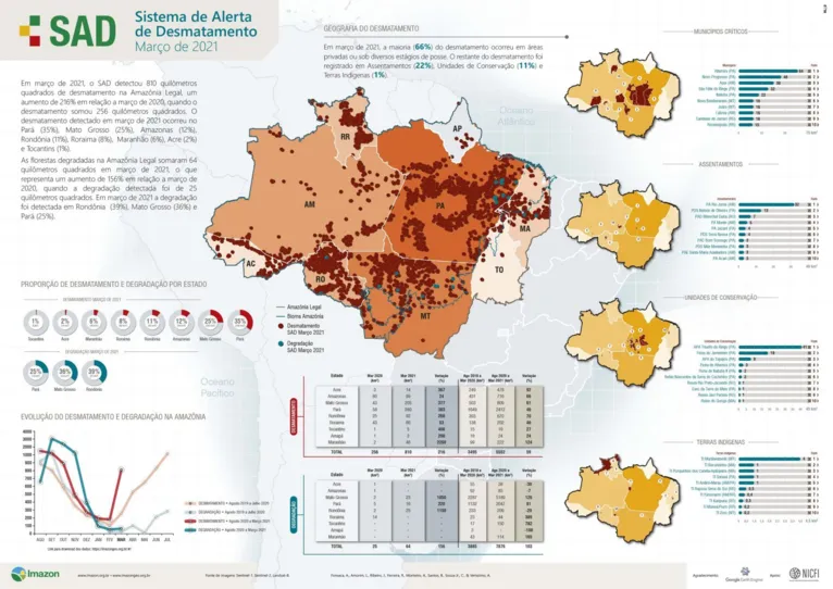 Pará é o que mais desmata na Amazônia