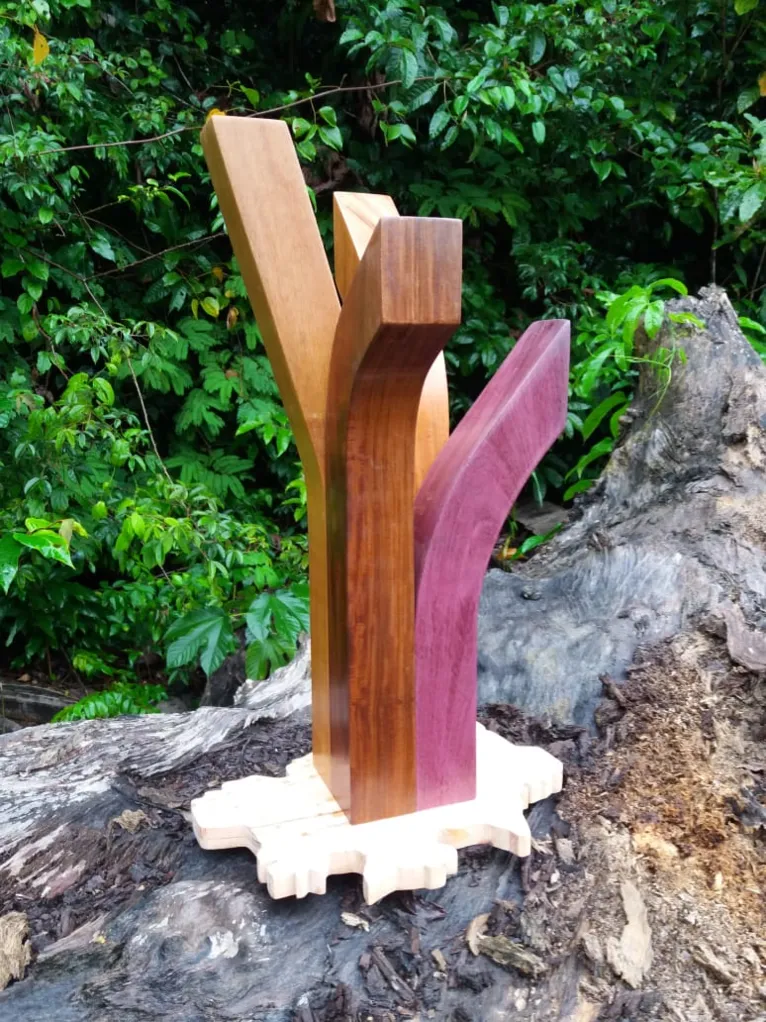 Troféus de campeão da Copa Verde tem cunho ambiental