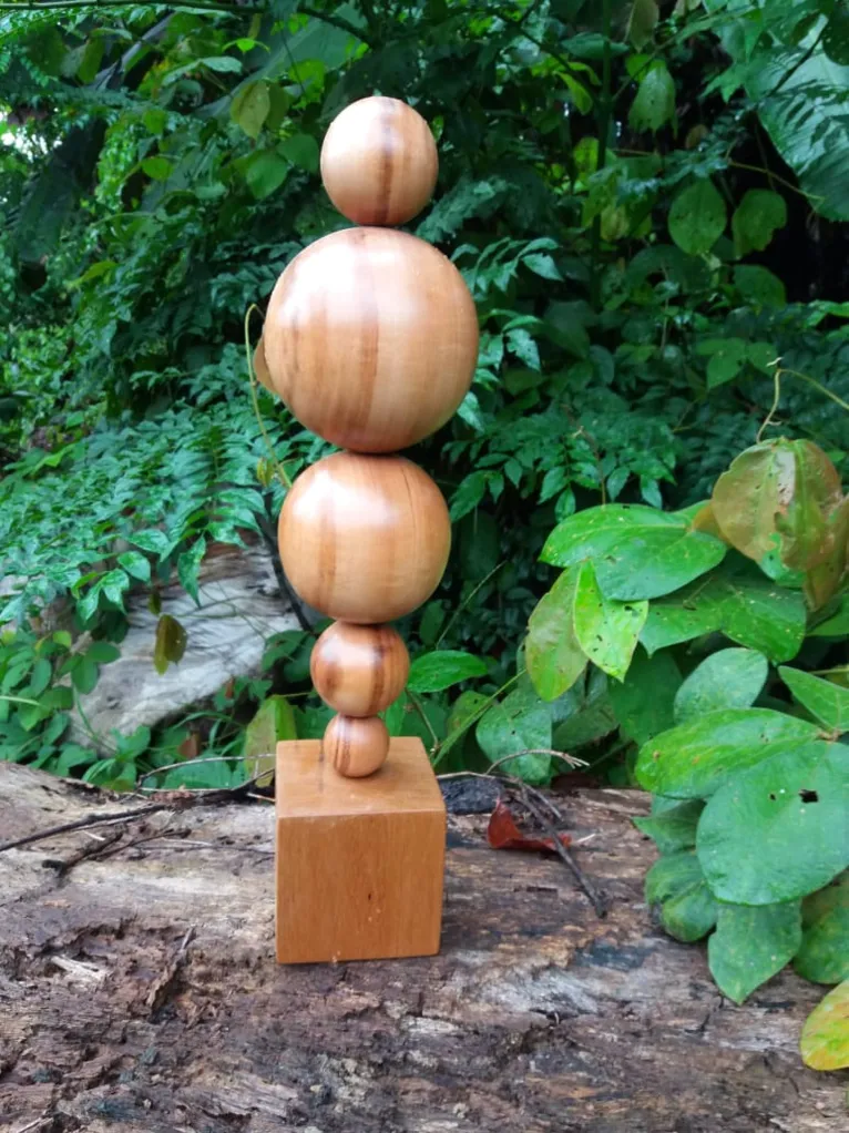 Troféus de campeão da Copa Verde tem cunho ambiental