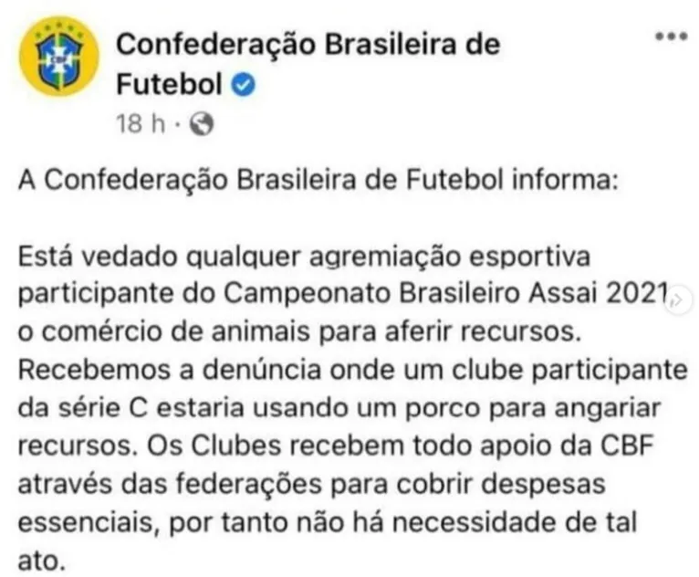 'Rifa de leitão' no Paysandu viraliza após o 'PIX do Leão' e até CBF é envolvida no caso
