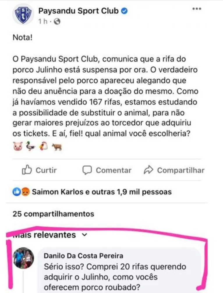 'Rifa de leitão' no Paysandu viraliza após o 'PIX do Leão' e até CBF é envolvida no caso