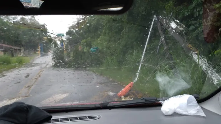 Ventania e chuvas causam devastação em Belém; veja registros