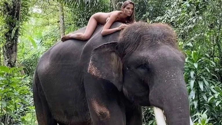 Filha de ex-tenista é detonada na web após posar nua em elefante ameaçado de extinção. Veja