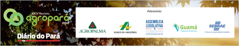 Banco da Amazônia facilita acesso ao crédito