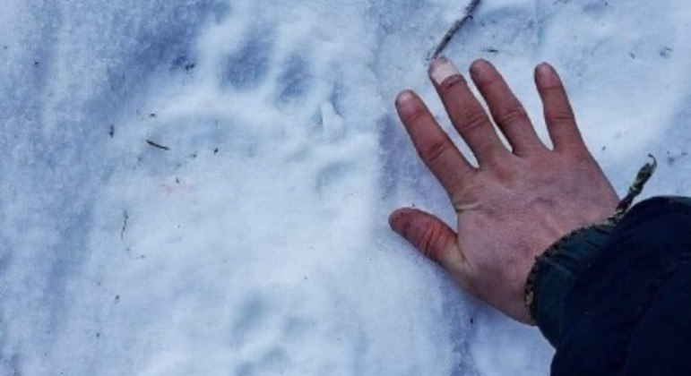 Irmão da vítima atacada por urso comparou tamanho da mão com o da pata do bicho
