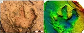 Segundo o especialista, as pegadas dão pistas do tamanho dos dinossauros
