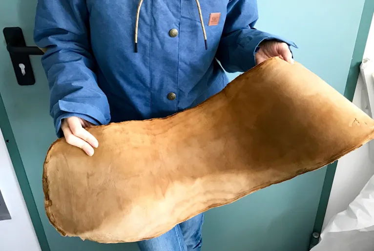 O couro de cogumelo tem textura e durabilidade