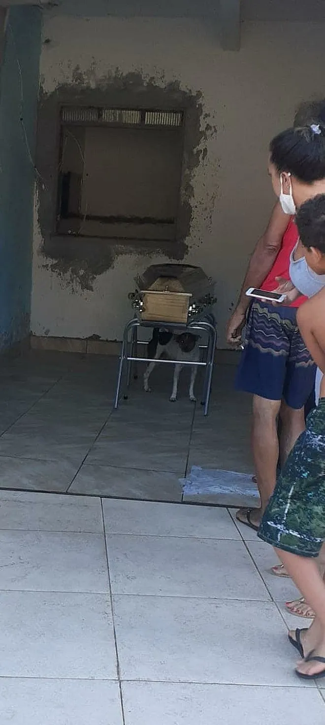 As pessoas ficaram espantadas com a reação do cão