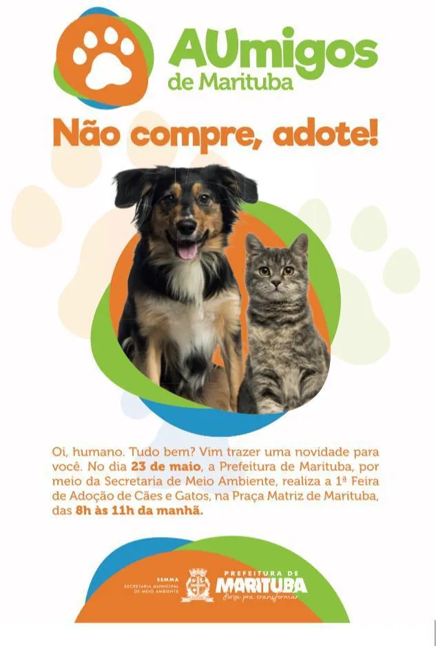 Feira de adoção de cães e gatos será domingo em Marituba