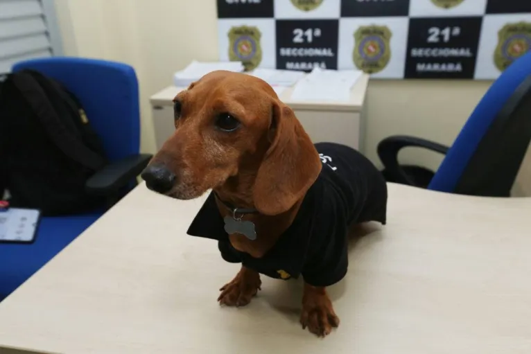 Malcolm, o mascote da PC