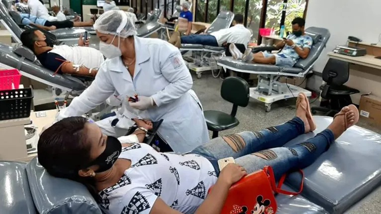 Objetivo é abastecer as hemorredes que atendem mais de 200 unidades hospitalares