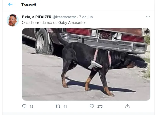 "Andava entre cadáveres". Veja os memes da Gaby Amarantos