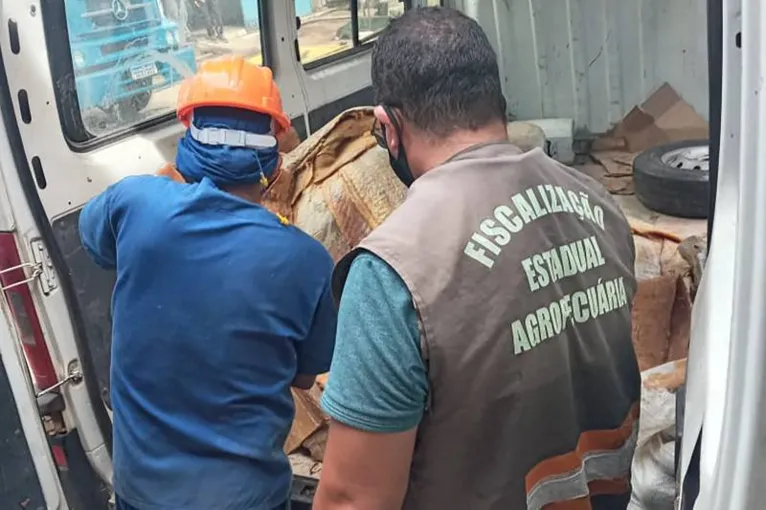 Momento da apreensão da carga pelos fiscais