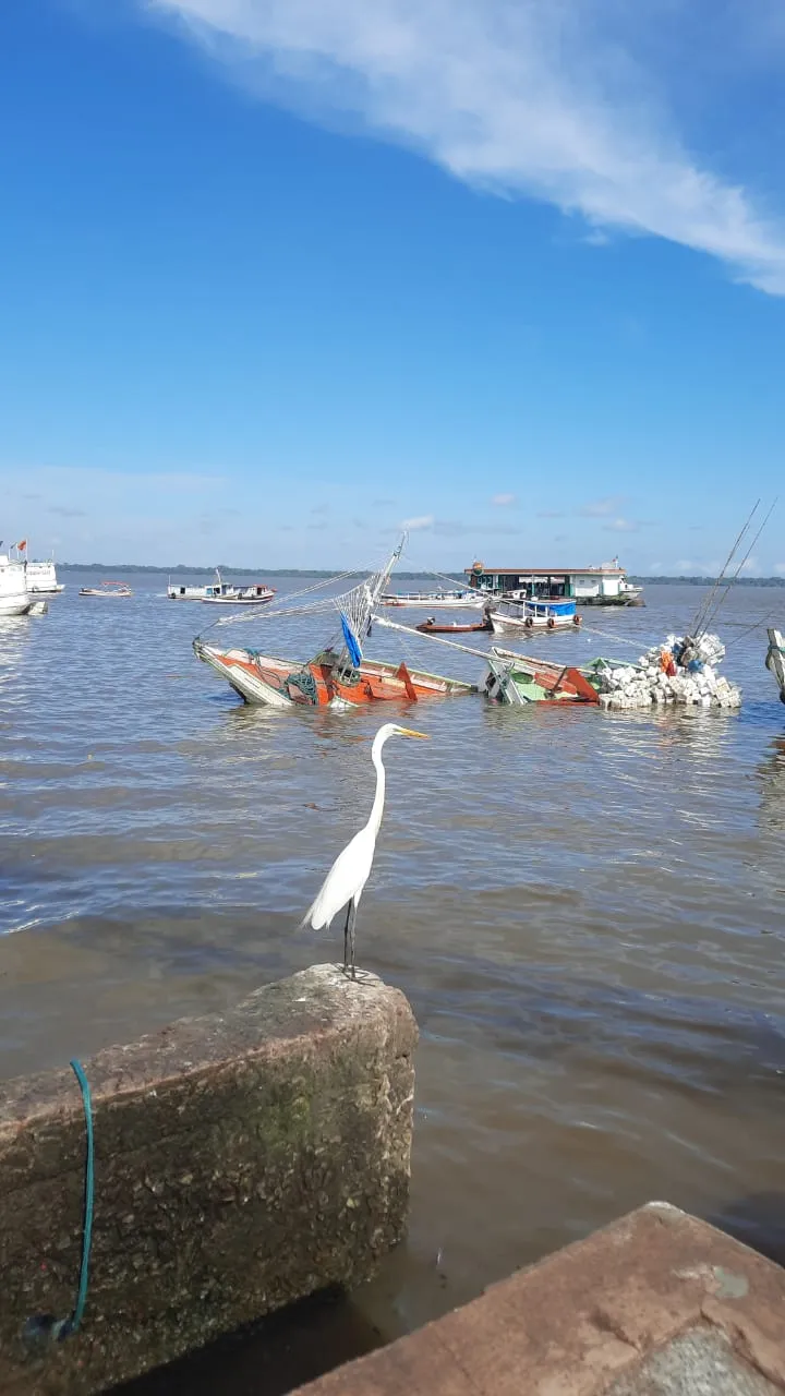 Barco pesqueiro afunda no Ver-O-Peso; veja o vídeo!